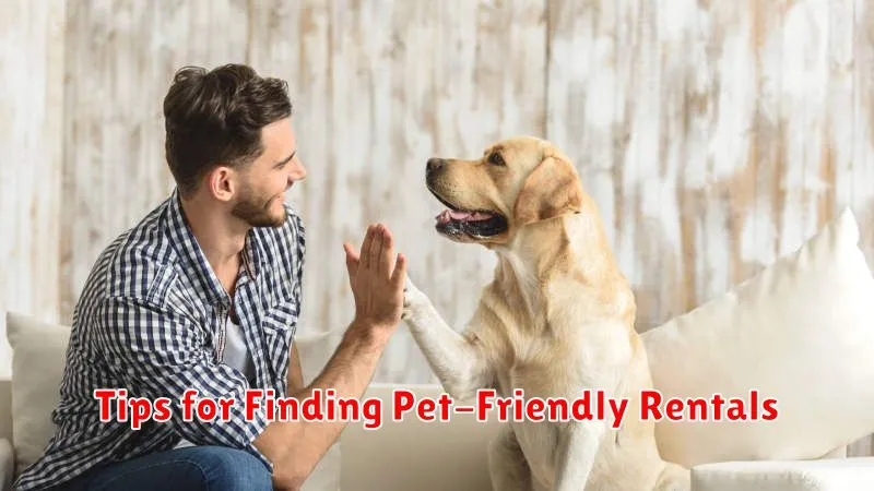 Tips for Finding Pet-Friendly Rentals